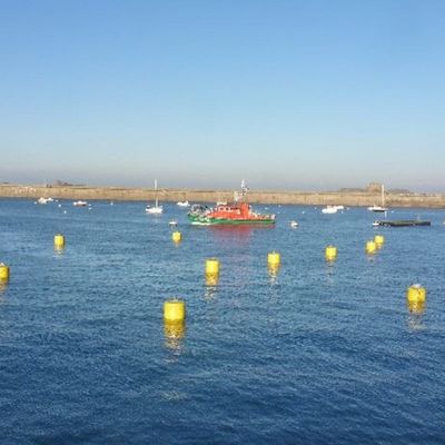 Boia de grande resistência da barreira de Eva Foam Filled Marine Floating Buoy CCS