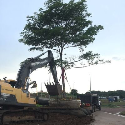Bolsa a ar de borracha de flutuação pesada do navio do levantamento de pesos do de alta capacidade