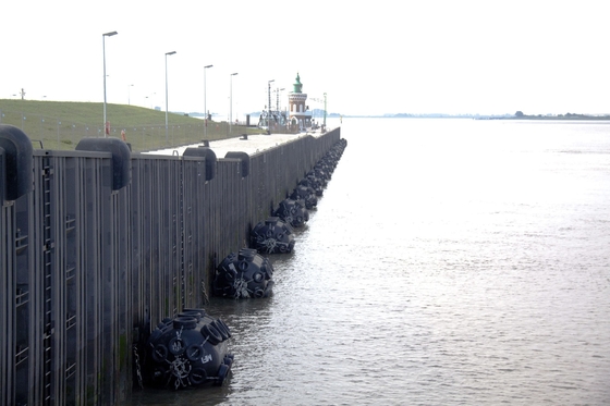 Poliuretano EVA Filled Fender Foam Buoy com peças e acessórios do barco