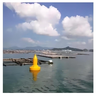 Dimensão e cor personalizadas Navegação marítima Navegação marítima Boia oceânica Para navio