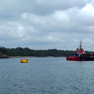 Boia de grande resistência da barreira de Eva Foam Filled Marine Floating Buoy CCS