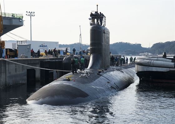 Para-choque de borracha submarino de borracha puro para o amortecedor de amarração de alta pressão da proteção portuária